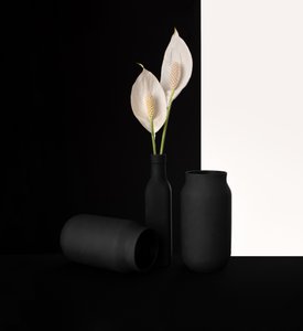 Elegant bloemencontrast door Margareth Perfoncio