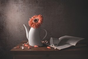 Oranje madeliefje – Gebroken theepot