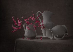 Roze bloemen en witte kannen door Margareth Perfoncio