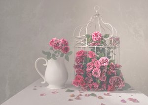 Rozen en vogelkooi