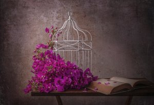 Rustieke bougainville en boek
