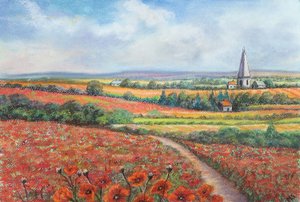Cotswold Klaproosveld, 2022 door Margo Starkey