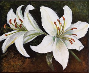 Witte Lelie, 2022
