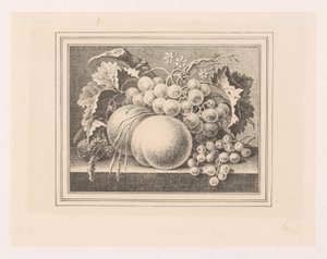 Compositie met vruchten in een omlijsting door Maria Geertruida de Goeje Barbiers (attributed to)