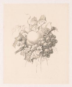 Compositie van vruchten door Maria Geertruida de Goeje Barbiers (attributed to)
