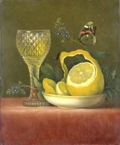 Stilleven met citroen en geslepen glas door Maria Margaretha van Os