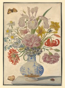  door Maria Sibylla Merian