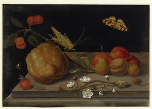  door Maria Sibylla Merian