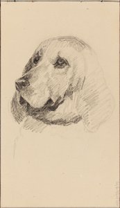 Kop van een hond door Maria Wiik