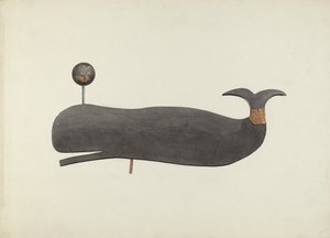 Walvis weerhaan