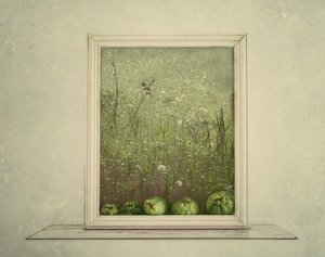  door Marie-anne Stas