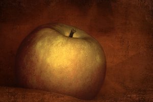 Moody Gouden Appel door Marie-anne Stas