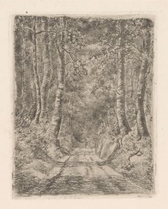 Bos langs een holle weg door Marie Adolphine van der Goes van Dirxland