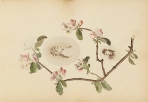 Het Madame B Album door Marie Blanche Hennelle Fournier
