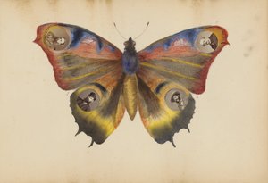 Het album van Madame B