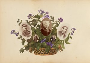 Het Madame B Album, 1870s door Marie Blanche Hennelle Fournier