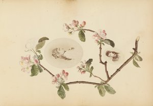 Het Madame B-album door Marie Blanche Hennelle Fournier