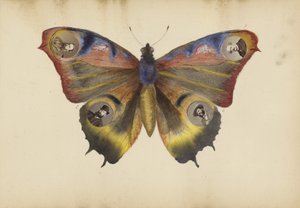 Het Madame B Album