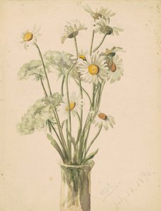 Madeliefjes en wilde peen in een vaas, 1890 door Marietta Minnegerode Andrews