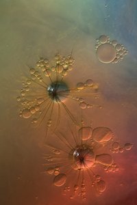 Kleurrijke vloeiende sterrenuitbarstingen door Marijose Cueli