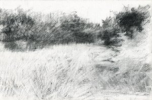 Landschap