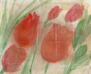 Rode tulpen