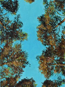 Herfstbomen van onderaf gezien