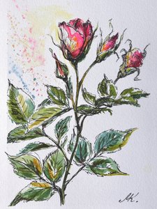 Roze rozenknoppen - Botanische schets in inkt en aquarel