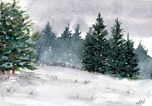 Besneeuwd winterbos