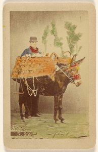 [Ongeïdentificeerde man met muilezel die manden met eten draagt].