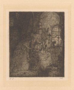 De schone slaapster