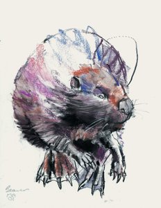 Beaver, 2001 door Mark Adlington