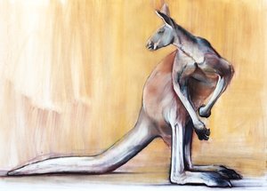 Grote Rode (Kangoeroe), 2014