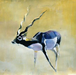 Zwarte Bok, Velavadar, 1997 door Mark Adlington