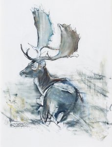 Hert in het Gras