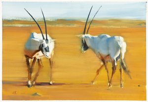 Cirkelende Arabische oryx, 2010 door Mark Adlington
