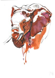 Olifantenkop Studie II, 2018 door Mark Adlington