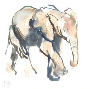 Olifantenkalf, Loisaba, 2017 door Mark Adlington