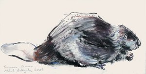 Europese bever (studie) 2001 door Mark Adlington