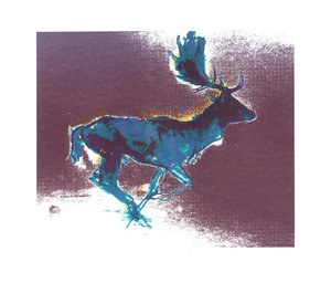 Damhert (blauwgele schaduw), 2015