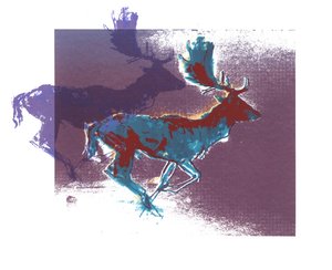Fallow Bucks, 2015