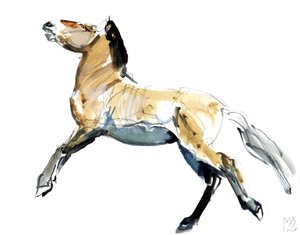 Vrij (Przewalski)