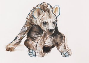 Hyena welp (hoofd naar beneden) door Mark Adlington