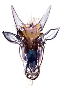 Kleine Duivel (gnoe)