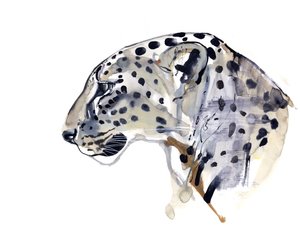 Profiel (Arabische luipaard), 2008