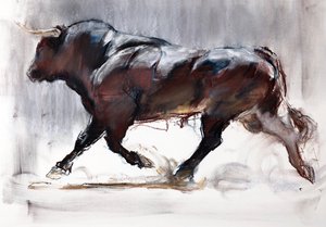 Rennende Stier, 2022