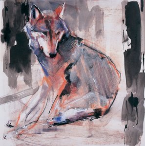 Zittende Wolf door Mark Adlington