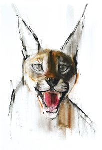 Snarl (Arabische karakal), 2009 door Mark Adlington