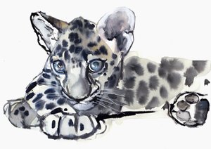 Spotty (Arabische luipaardwelp), 2008