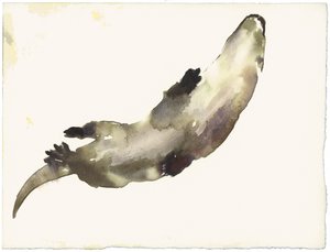 Zwemmen Boven door Mark Adlington
